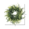thumbnail image 3 of Vickerman 18" Artificial Green Buckler Fern and Grass Wreath., 3 of 3
