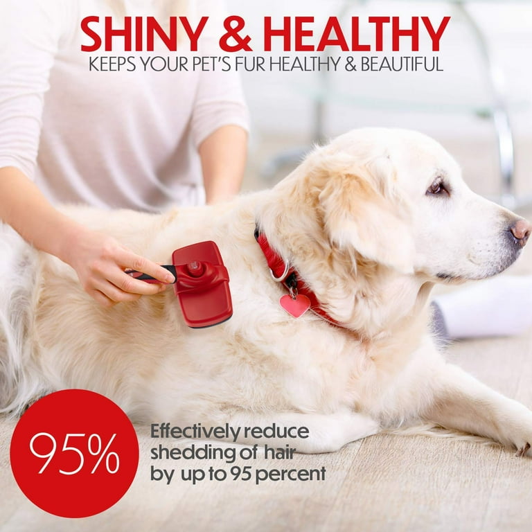 How To Make Dog Fur Shiny skt.zst.tarnow.pl