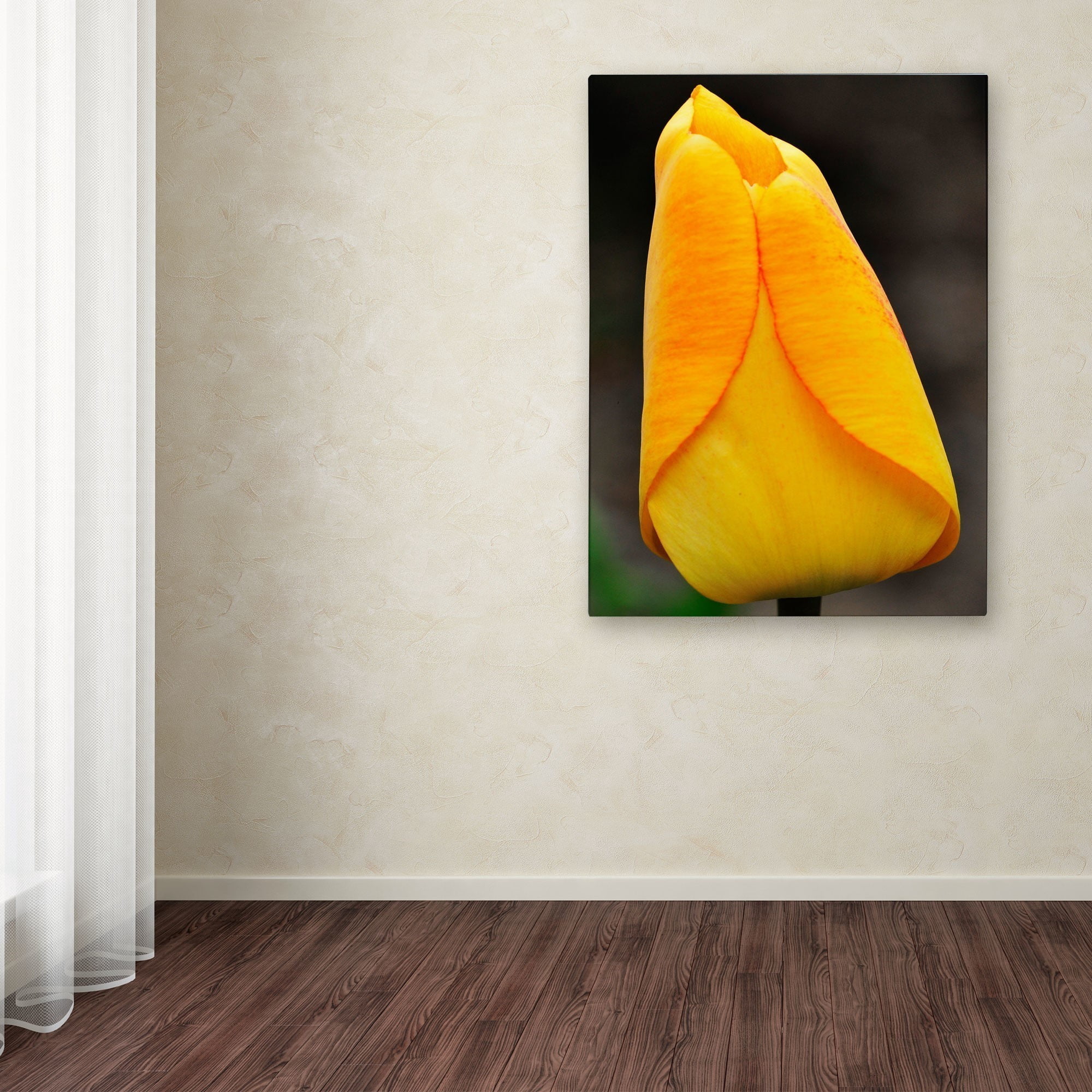 "Perfect Yellow Tulip" Canvas Wall Art by Kurt Shaffer