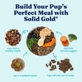 thumbnail image 2 of Solid Gold Chicken Meatball Toppers in Gravy, for Dogs, Case of 3 - 10.5oz Pouches, 2 of 7