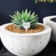 thumbnail image 1 of unbranded 50Ud Etiquetas Planta En Forma De Inoxidable Para Jardín Y Semilleros, 1 of 8