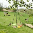 thumbnail image 6 of Four-Leaf Clover Bird Feeder and Waterer - Window Bird Feeder, Outdoor Hanging 4-Compartment Bird Feeder for Wild Birds and Pets, Garden Decoration Gift (5 Colors), 6 of 6