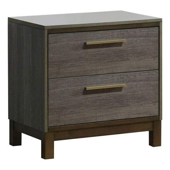 Bowery Hill 2 Drawers Contemporary Wood Nightstand in Antique Gray