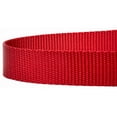 thumbnail image 2 of Country Brook Petz - Vibrant 15 Color Selection - Heavyduty Doublehandle Nylon Leash (4 Foot, 1 Inch Wide, Red), 2 of 6