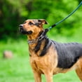 thumbnail image 3 of Collier d'Entraînement pour Chien, Maillons Réglables en Acier Inoxydable, 3 of 5