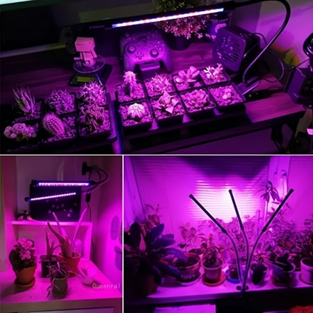 

Zyhtgyee Plant Grow Light with Timing Design Plant Grow Light Long Strip Clip Design Timer Dimmer Low Voltage Full spectrum Sunlight for Indoor Plants