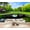 Color 3, variant on Wallpaper Misty Forest Landscape Calm River Tall Pine Trees Vintage Peel and Stick Wall Murals 69"H x 96"W Removable PVC Wall Paper Self-Adhesive Wall Paintings Art Decor for Bedroom Living Room
