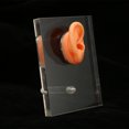 thumbnail image 3 of Modelo de oreja derecha de silicona ANGGREK Material de silicona suave y tenaz, 3 of 8