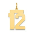 thumbnail image 1 of 14k Medium Polished Number 12 Charm in 14k Yellow Gold, 1 of 3