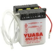 Conventional Automotive Battery