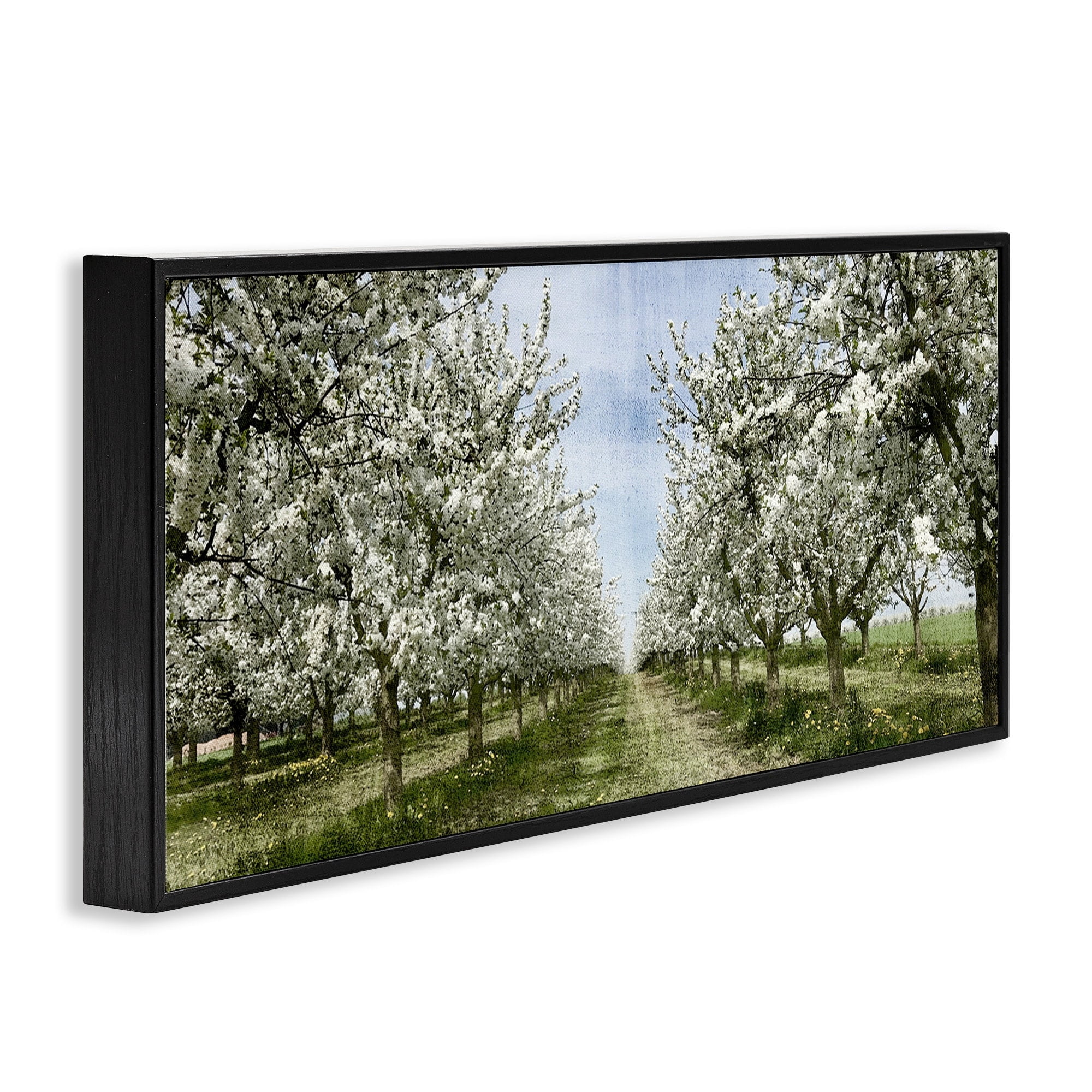 Stupell Industries Blooming White Flower Buds Trees Orchard Meadow Framed Wall Art, 30 x 13, Design by Kim Allen