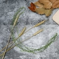 thumbnail image 1 of unbranded 3Ud Tallo Artificial Verde Con Hojas Para Guirnaldas Y De Eventos Y Hogar, 1 of 7