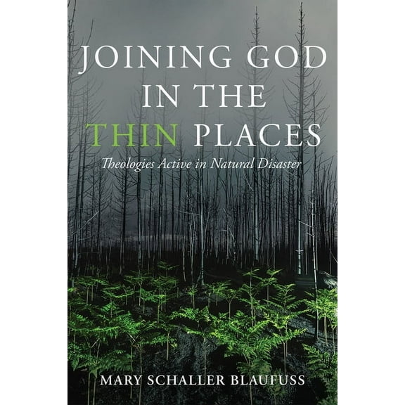 Joining God in the Thin Places: Theologies Active in Natural Disaster, (Paperback)