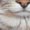 White, variant on Cute Cat Shirt Print Tshirt Graphic Tees Shirts White Women Aesthetic Rainbow Cat Candy Cute Design Casual Summer Soft Cotton Tee Size S-5XL Tops