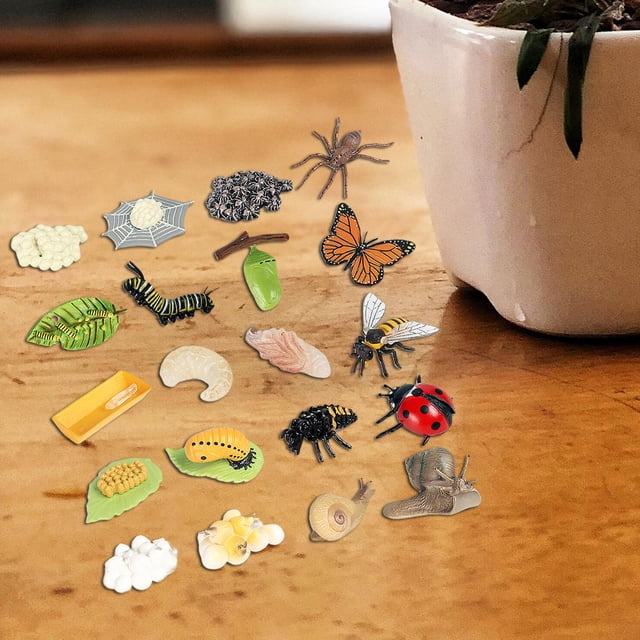 Modelo de Animal Yotijar Figuras de Ciclo de Crecimiento para Proyecto Escolar