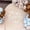 White, variant on We Can Bearly Wait Teddy Bear Baby Banner - Adorable Felt Wall Decor for 1st Birthday & Gender Reveal Party