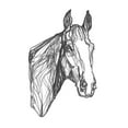 thumbnail image 2 of Scarvey, Emma 15x18 Gold Ornate Wood Framed with Double Matting Museum Art Print Titled - Equine Contour I, 2 of 4