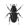 thumbnail image 3 of Villa, Mlli 12x12 Black Modern Framed Museum Art Print Titled - Bug Life Four, 3 of 5