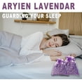 thumbnail image 5 of 36 Pack French Dried Lavender Sachet Bags, 100% Natural Lavender Bags for Drawers and Closets, Potpourri Air Freshener, Bulk Sachet Gift for Scents Home, Wedding, 5 of 7
