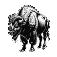 thumbnail image 5 of realistic,detailed,vivid Buffalo Stickers, Waterproof Buffalo Sticker for Water Bottle Laptop Phone Cases Planner Skateboard Luggage Helmet Party Favor Decor, Ideal for Adults Teens Teacher Rewards, 5 of 9