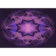 thumbnail image 1 of Ahgly Company Machine Washable Indoor Rectangle Transitional Dark Orchid Purple Area Rugs, 6' x 9', 1 of 7