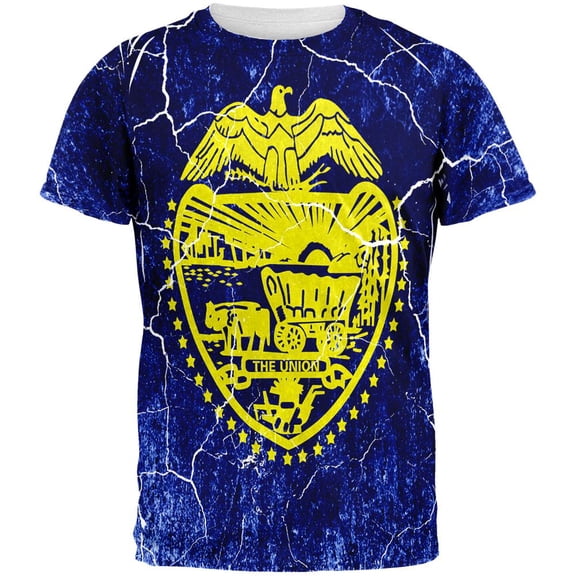 Oregon Vintage Distressed State Flag All Over Mens T Shirt Multi SM