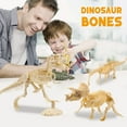 thumbnail image 4 of B Dinosaur Excavation Kit Fossil Digging Paleontology Project, 4 of 5