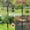 🔥 Black_Base#6766, variant on Outdoor Double Hook Shepherd’s Pole | 5-Prong Iron Base | Adjustable 28.5-76in | Heavy-Duty Powder-Coated Metal Stand for Hanging Basket, Feeder, Lantern, Light | Garden Wedding Decor Ground Bracket