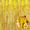 Gold, variant on Siloon 3.28ftx6.56ft Metallic Tinsel Foil Fringe Curtains Party Photo Backdrop Party Streamers for Birthday,Graduation,Christmas,New Year Eve Decorations Wedding Decor (3Pack,black)