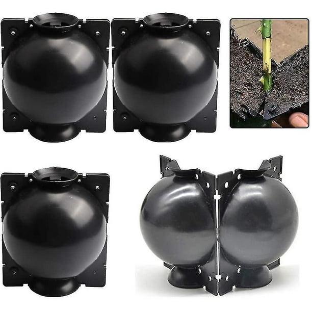 Caja De Injerto De Plantas, Dispositivo De Enraizamiento De Plantas De 4 Piezas, Caja De Alta Presión De Plantas, Bola De Corte De Propagación Para Injerto De Cría De Crecimiento De Jardín (Negro)aesp kaili Sencillez