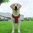 thumbnail image 4 of Pet Others Chest Harness Adjustable Harness for Medium Size Dogs, 4 of 4