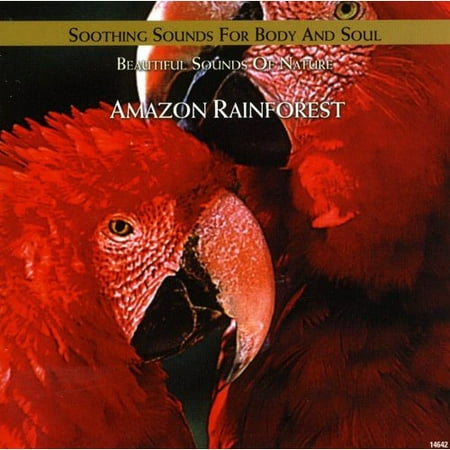 Amazon Rainforest
