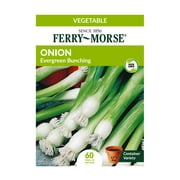 Ferry-Morse 65MG Onion Evergreen Bunching Vegetable Plant Seeds Packet