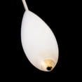 thumbnail image 3 of Acrylic Half-Sinking Fishing Float 10/15/20/30G Sea Fishing Lure Floating Tackle, 3 of 10