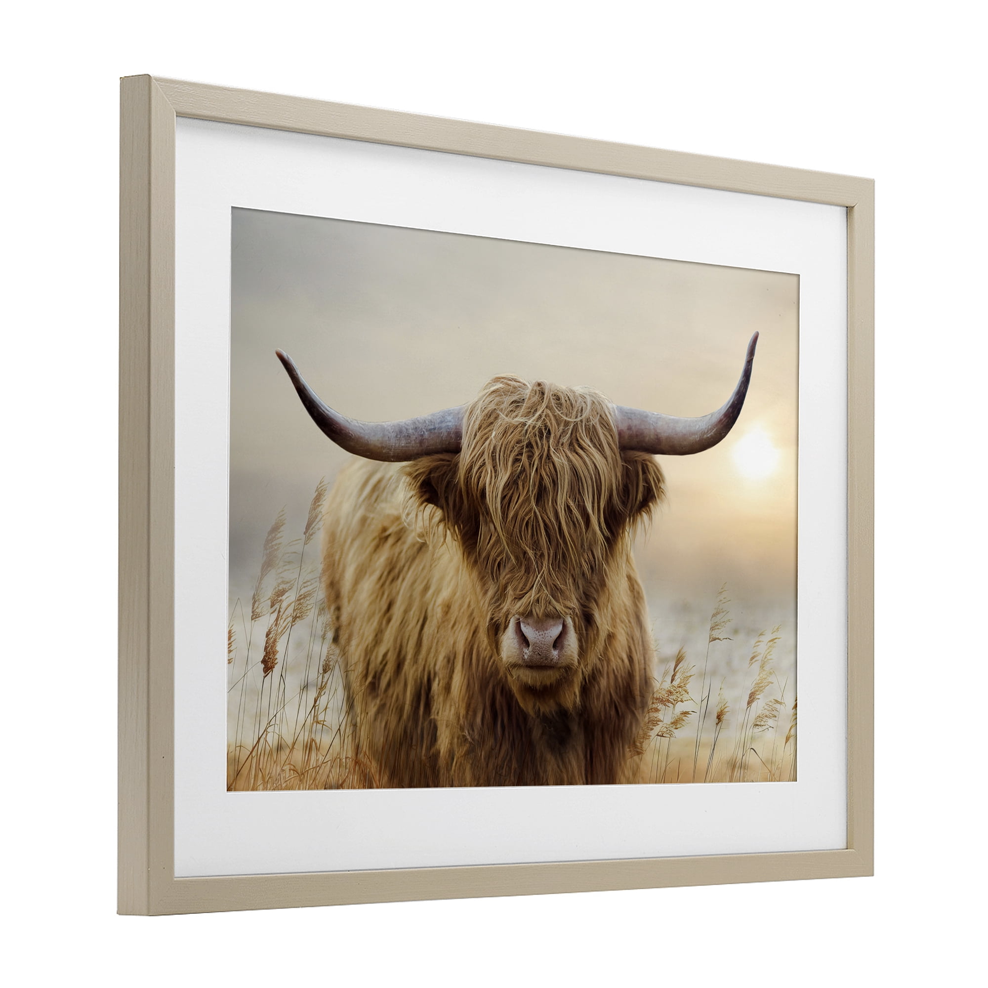 Stupell Industries Highland Cow & Warm Sunset Birch Framed Print Under Glass, design by CAD Designs