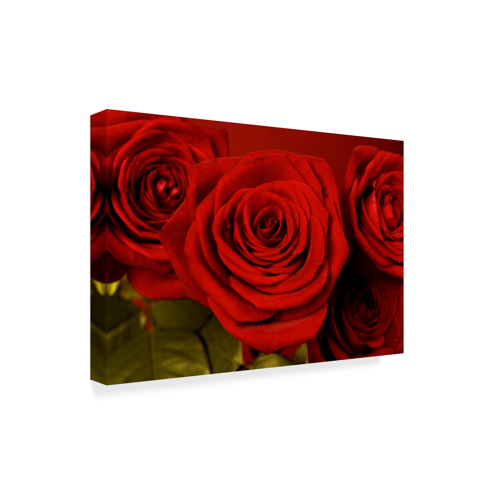 Trademark Fine Art '3 Red Roses' Canvas Art by Tom Quartermaine