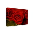 thumbnail image 2 of Trademark Fine Art '3 Red Roses' Canvas Art by Tom Quartermaine, 2 of 3