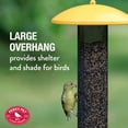thumbnail image 3 of Perky-Pet Straight-Sided Finch Tube Feeder, 3 of 11