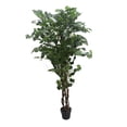 thumbnail image 1 of Jeco HD-BT152 Arbre Ginkgo 70 Po., 1 of 3