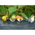 thumbnail image 1 of LOVIVER 4Pcs Creative Bird Figurine Resin Animal Decor Statue Miniature Landscape Bonsai, 1 of 8