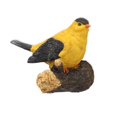 thumbnail image 1 of xiaxaixu Résine Oiseau Jardin Ornement, Sculpture Réaliste Robins Statue Animal Figurine Décoration Extérieure, 1 of 7