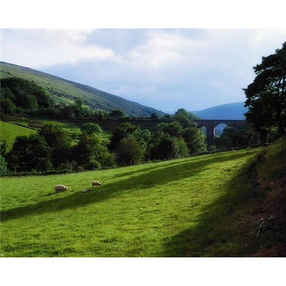 Glendun Glens of Antrim Co Antrim Ireland - One of The Nine Glens of Antrim Poster Print by The Irish Image Collection, 34 x 26 - Large