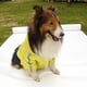 thumbnail image 4 of Impermeable Para Perro Grande Yuyangstore Amarillo Con Azul Oscuro, 4 of 7