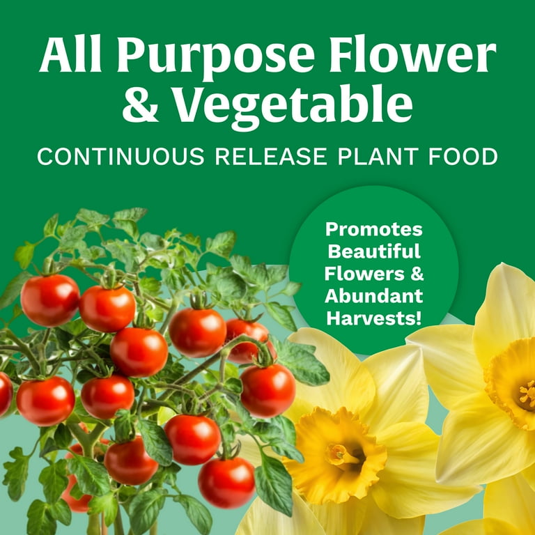 Scotts All Purpose Flower & Veg Plant Food, 3 lb, Continuous