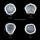 thumbnail image 5 of Bearachild Molde de silicona para pasteles Mooncake, molde portátil para galletas, dulces, galletas, gelatinas, restaurante, utensilio de cocina para Herramientas y accesorios para hornear Pez Bearachild HA081919-06, 5 of 6