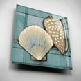 thumbnail image 2 of Epic Art 'Seashell Sketch I' by Tim O'Toole, Acrylic Glass Wall Art, 12"x12", 2 of 7