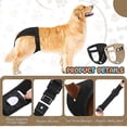 thumbnail image 3 of Pantalon de Protection Ajustable pour Chien, Lavable, pour Saignement, 3 of 5
