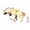 YELLOW, variant on Natural Fish Tank Cave Decor - Printed Under Gravel Tunnel Hideout for Cory Catfish, Kuhli Loaches, Plecos, Aquarium Ornament with Plant Holes (Large, Brown)