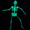 thumbnail image 5 of 3ft Halloween Skeletons Decorations, Glow in The Dark Plastic Skeletons Figurine Luminous Poseable Skeleton for Halloween Party Favor Decor, 5 of 5