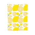 thumbnail image 2 of LNWH Fruit Lemon Print Art Pattern Throw Blanket, Fluffy Soft Cozy Bed Flange Plush Blankets, 80"x60", 2 of 8